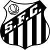 Logo Santos Youth