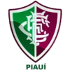 Logo Fluminense PI Youth