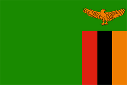 Logo Zambia Women